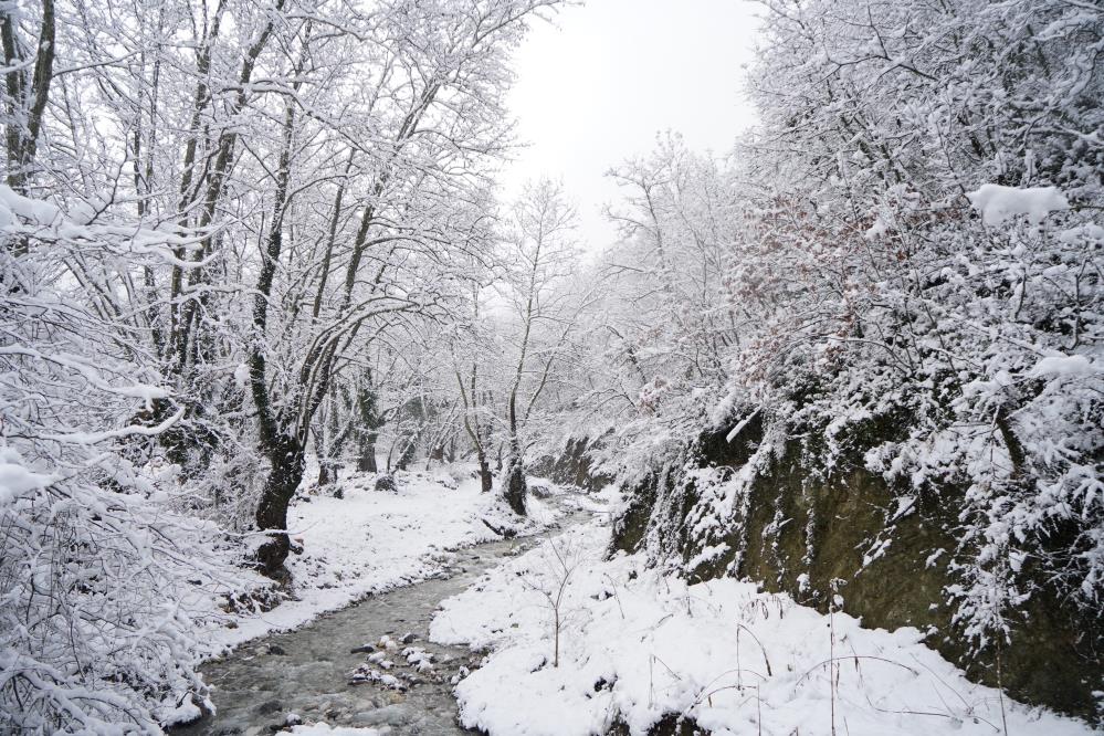 Bursa’nın ilçelerinde etkili olan kar yağışı Kestel’de kartpostallık görüntüler ortaya çıkardı.
