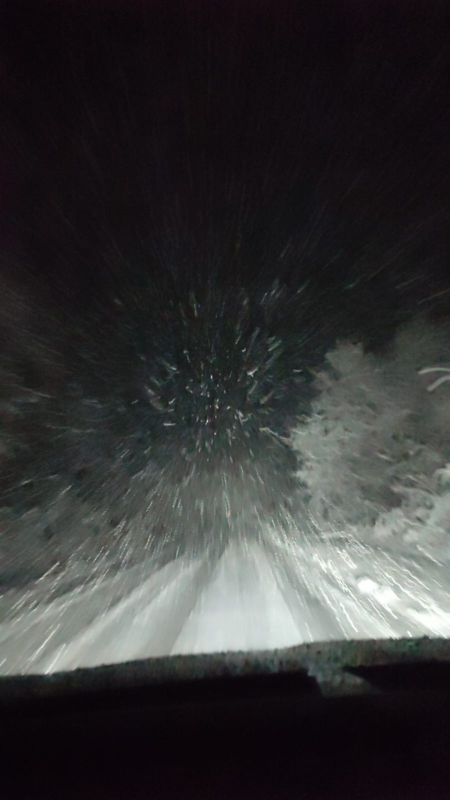 AW079452_02