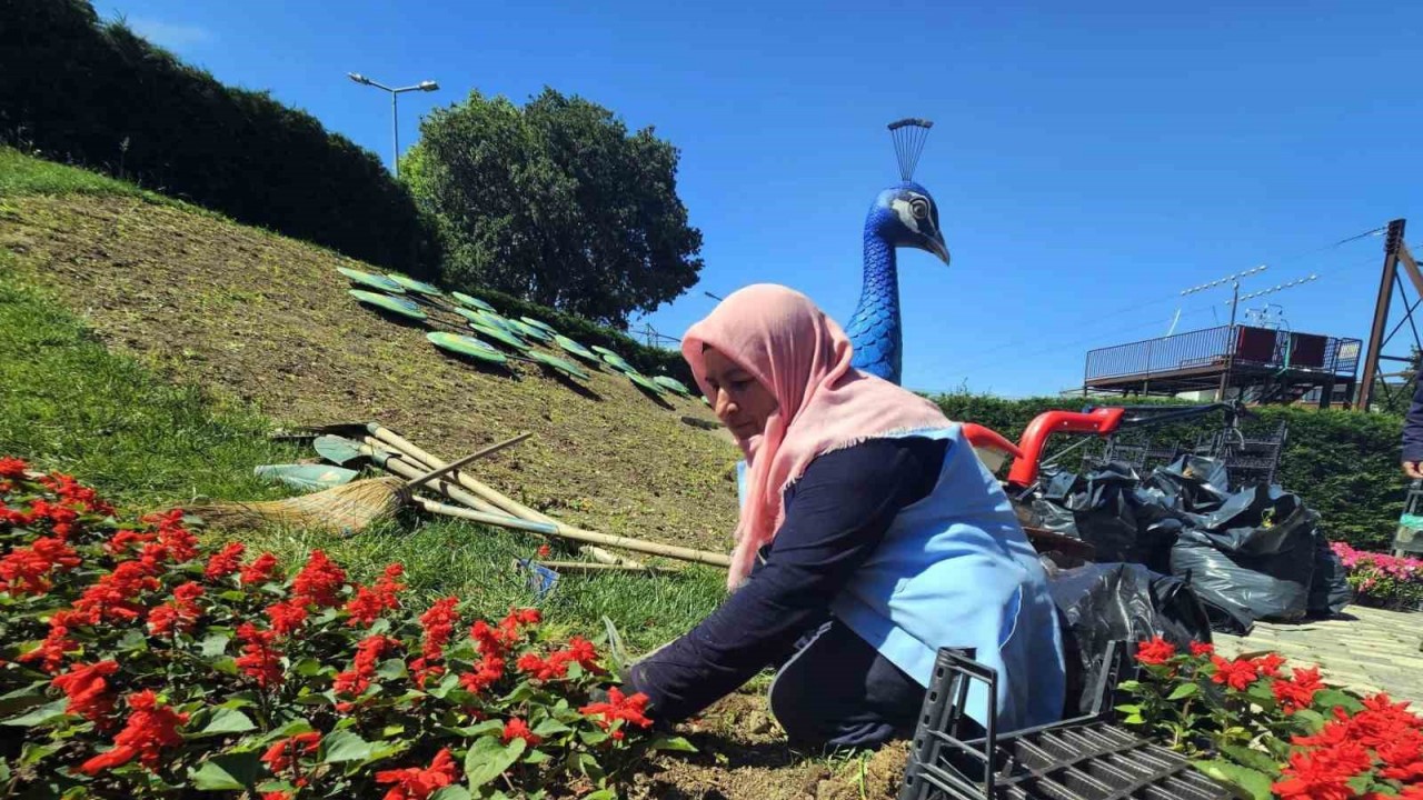 Osmangazi Çiçek Açıyor