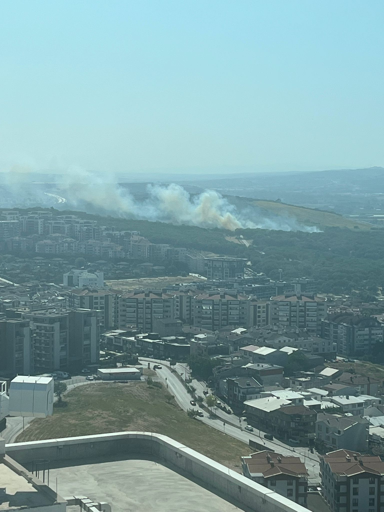 I M G 20250624 W A0002