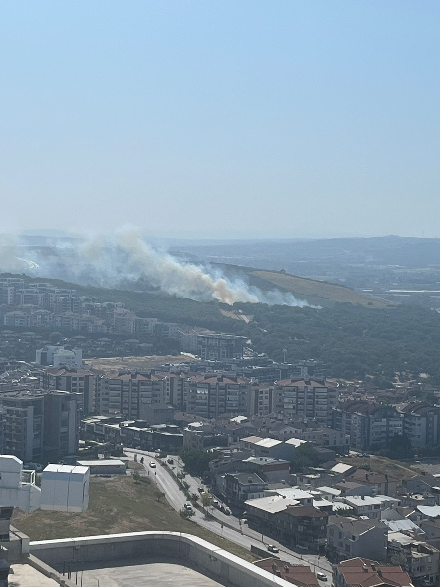 I M G 20250624 W A0003