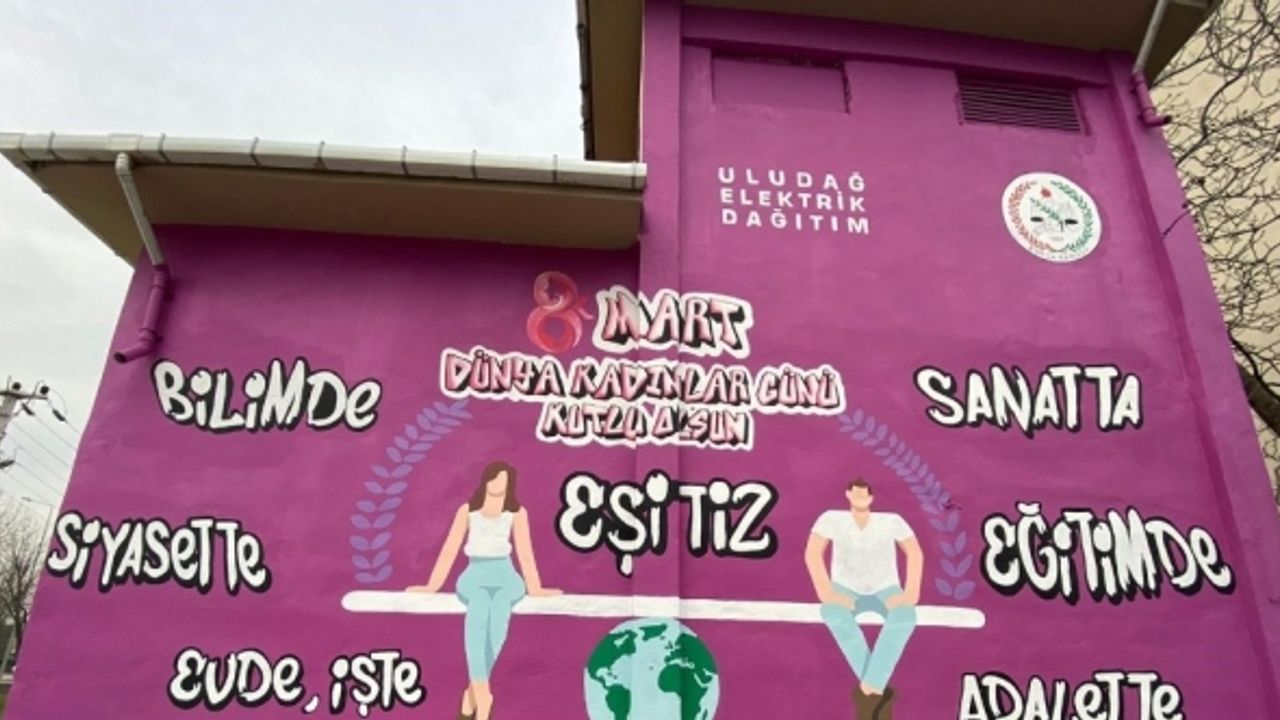 Uludağ Elektrik Dağıtım A.Ş. (UEDAŞ), kadın hakları için 12.trafosunu boyadı