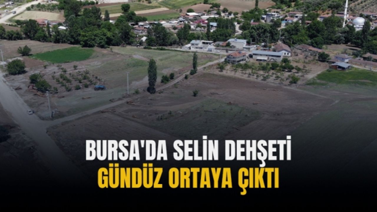 Bursa'da selin dehşeti gündüz ortaya çıktı