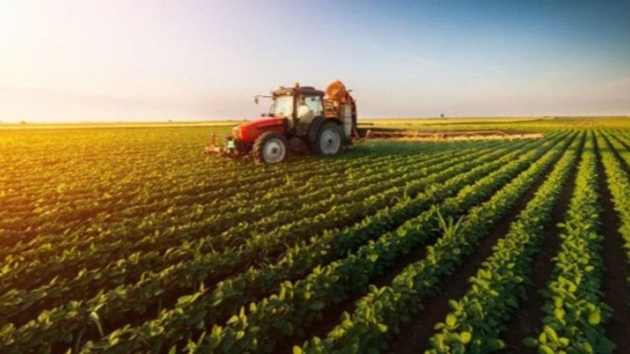 Tarım-ÜFE yıllık yüzde 24,35 arttı