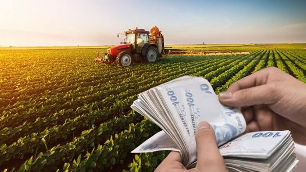 Tarım-ÜFE yıllık yüzde 68,49 arttı!