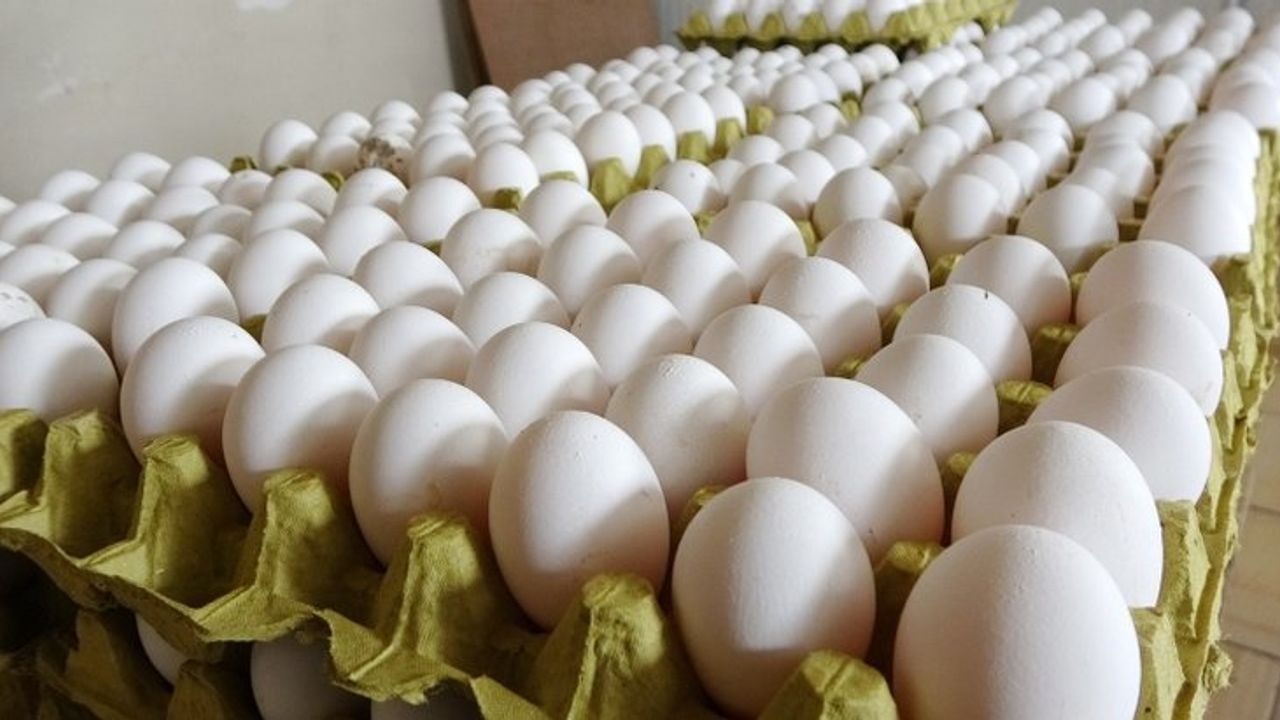 Rekabet Kurumu yumurta sektörüne soruşturma başlattı!