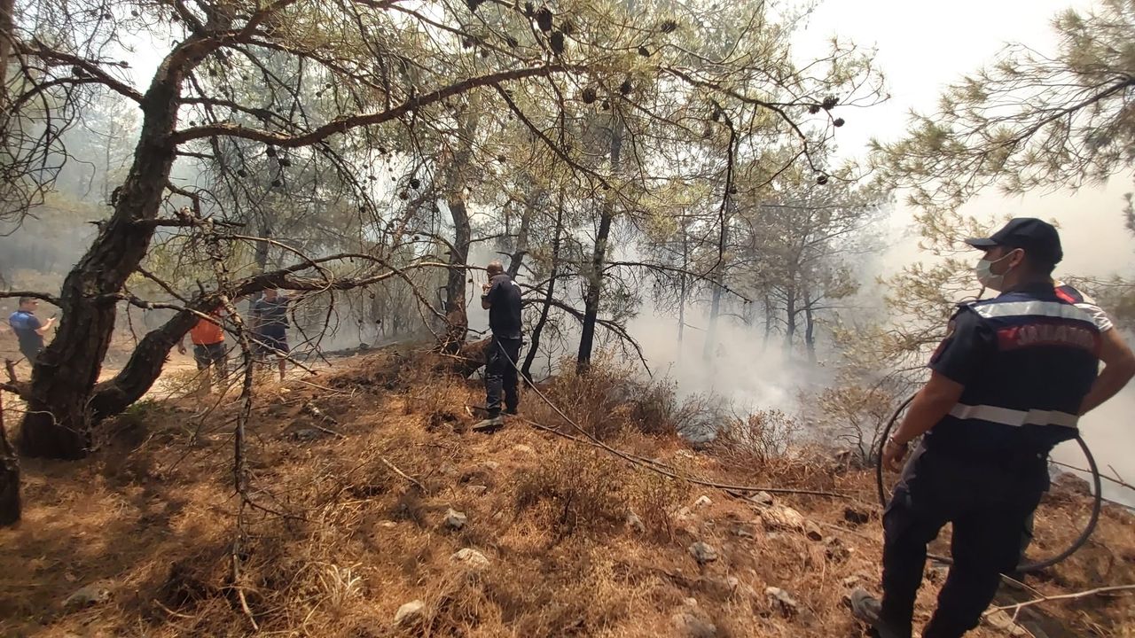 Datça’daki orman yangınına kolluk kuvvetleri de müdahale etti!
