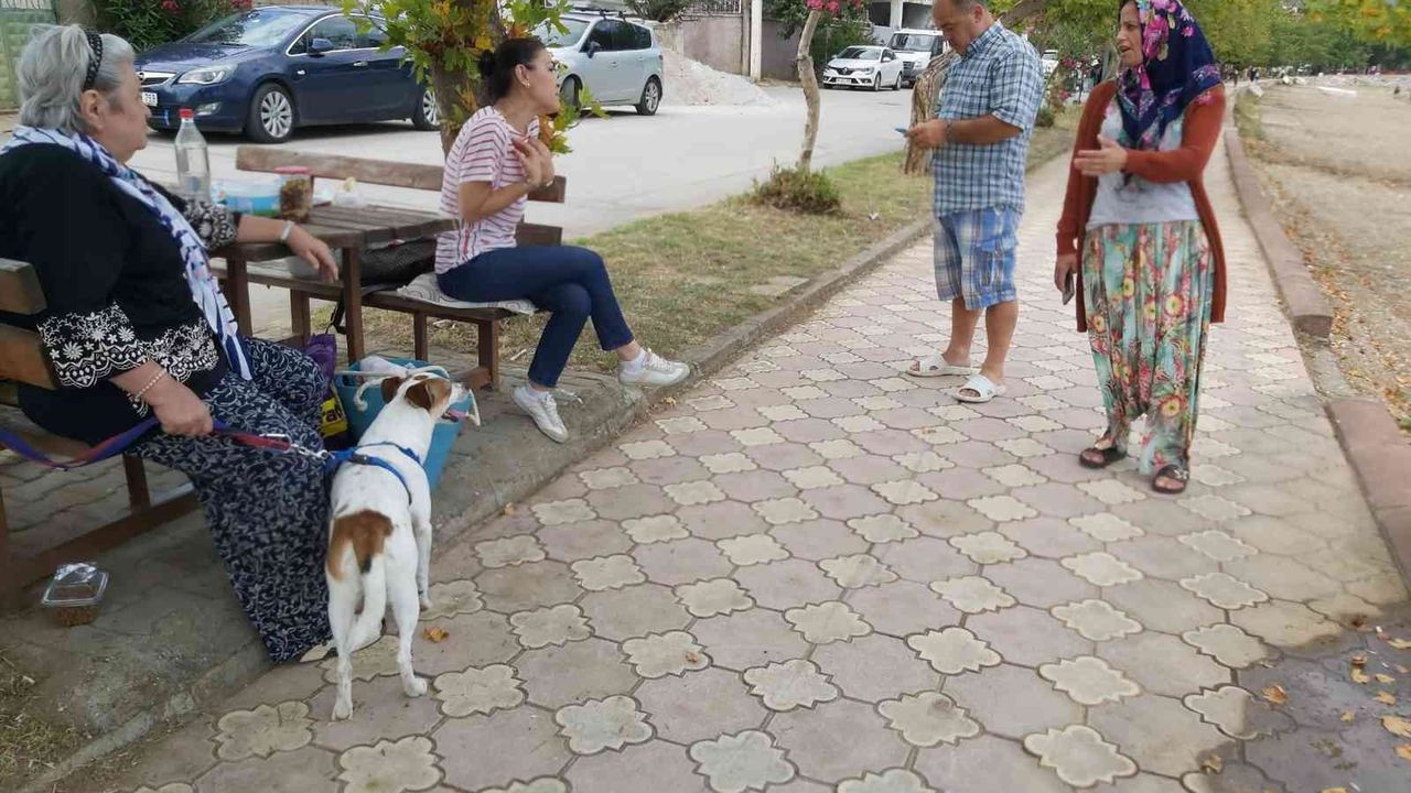 Bursa'da genç kız köpeğin saldırısına uğradı