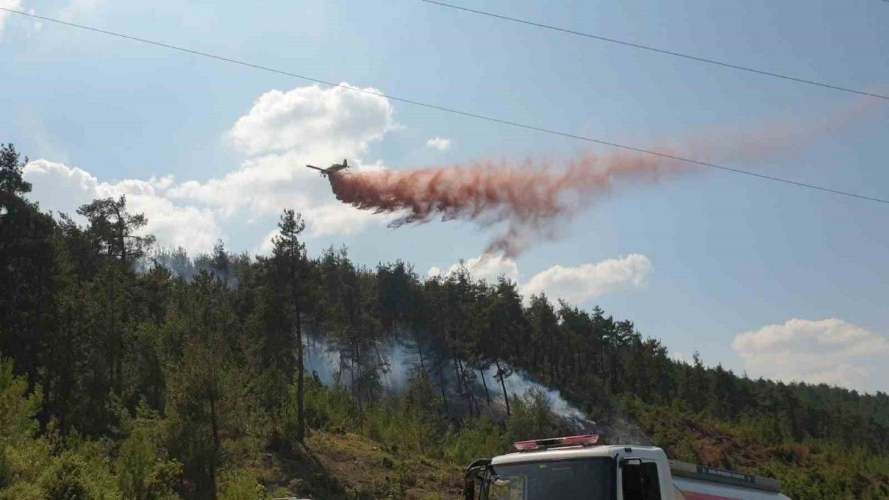 Bursa Valiliği, ormanlarda ateş yakmayı yasakladı