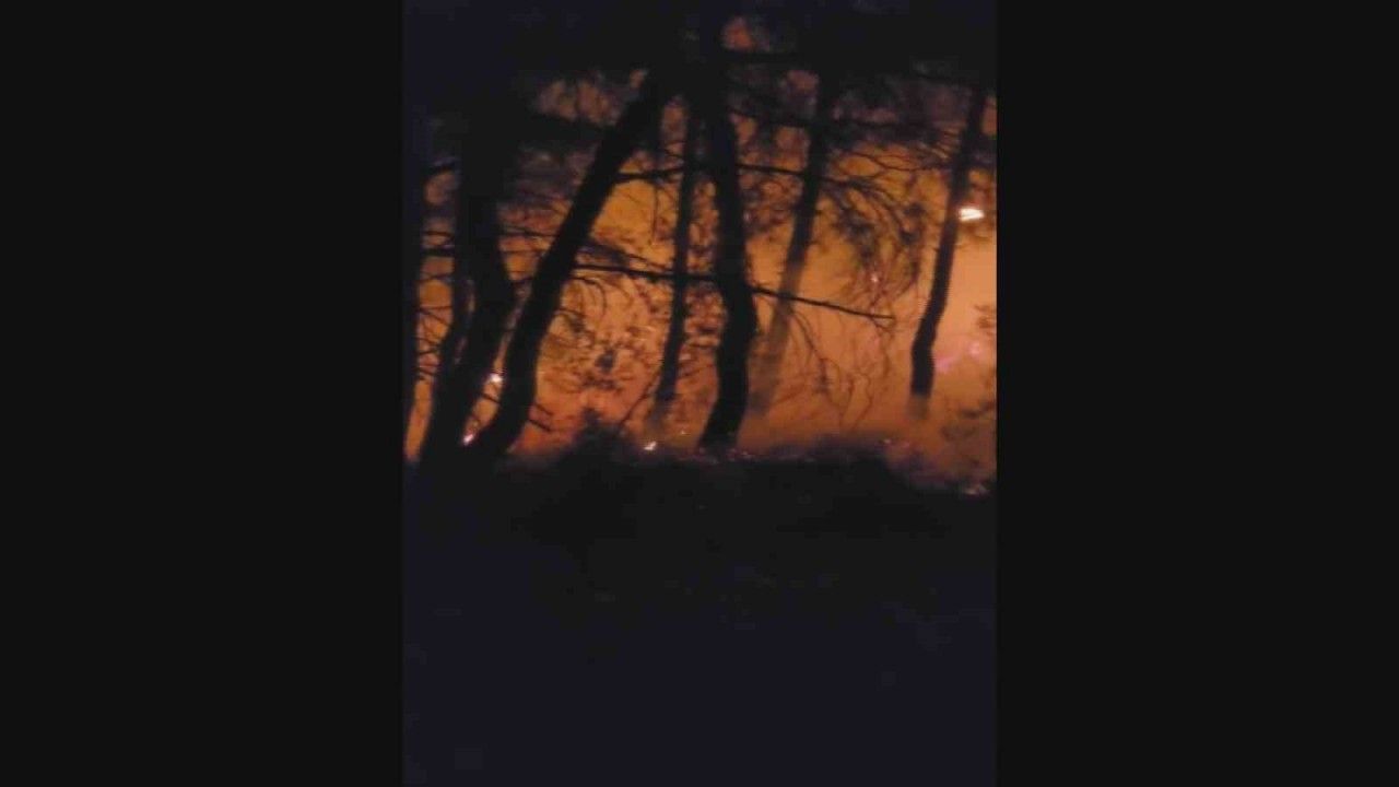 Osmangazi’de televizyon ve radyo vericilerinin bulunduğu kırsal alanda orman yangını!