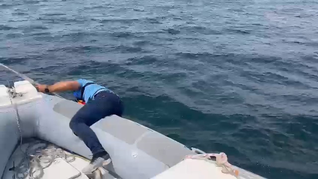 Denizde mahsur kalan martıya polis şefkati!