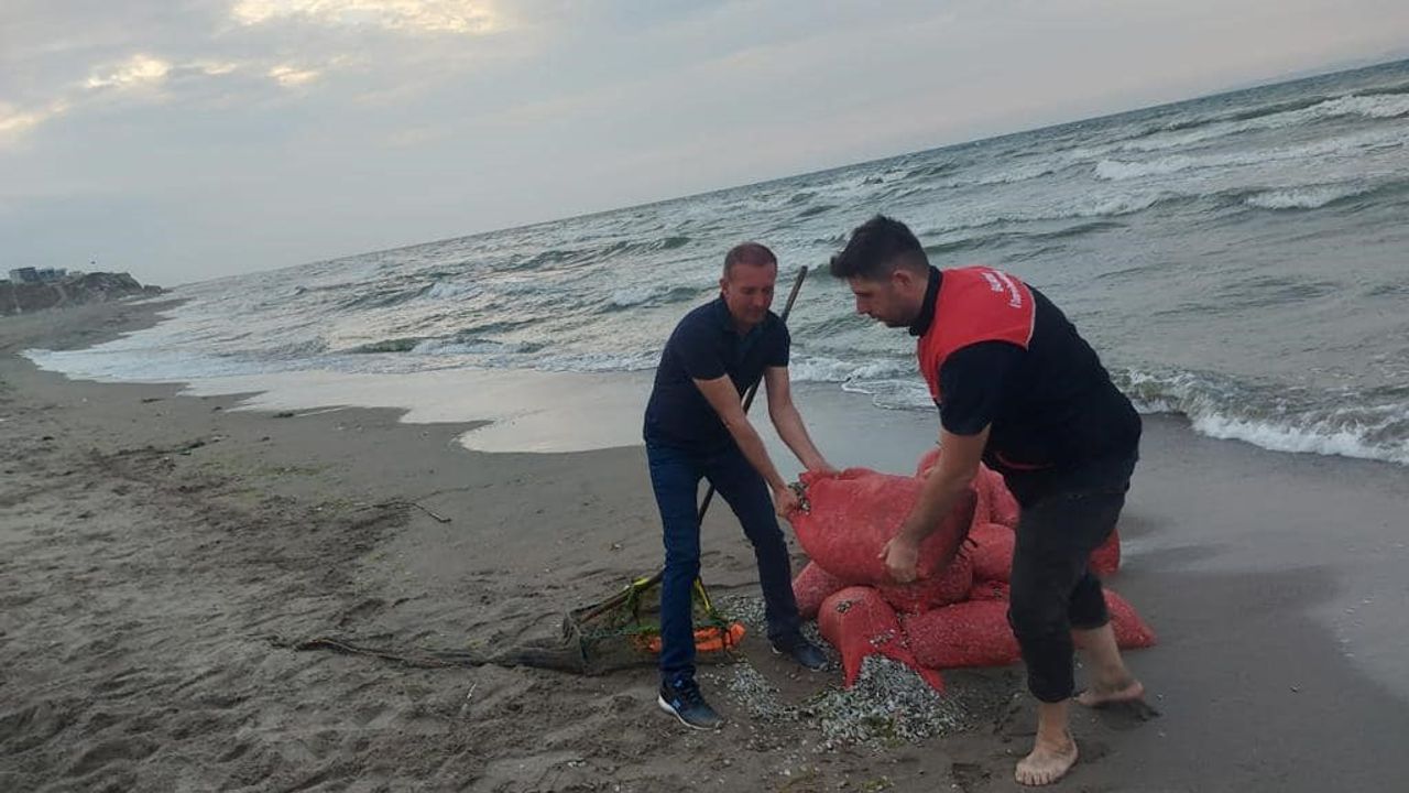 Kaçak avlanılan 5 bin 500 kilo kum şırlanı denize bırakıldı!