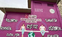 Uludağ Elektrik Dağıtım A.Ş. (UEDAŞ), kadın hakları için 12.trafosunu boyadı