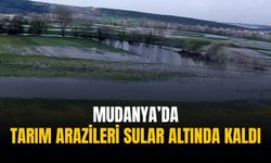 Mudanya’da tarım arazileri sular altında kaldı