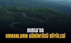 Bursa’da ormanların görüntüsü büyüledi