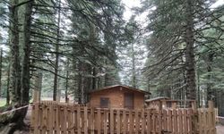 Uludağ’da sezon açıldı, orman evleri büyük rağbet görüyor
