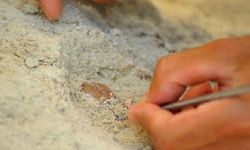 Çobanın keşfettiği mağarada M.Ö. 10 bin yılından kalma 'yiyecek' bulundu