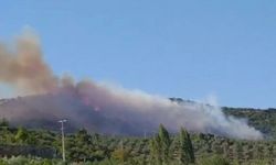 Bursa’daki orman yangını söndürüldü