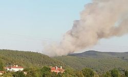 Bursa Harmancık'ta da orman yangını