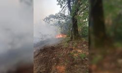 İnegöl'de çıkan orman yangını 1 saatte söndürüldü