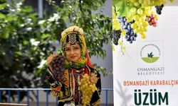 Bursa’da en güzel üzümler yarıştı