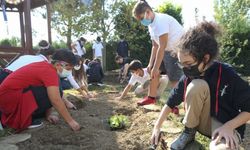 Nilüfer Belediyesi’nden okullara fide ve tohum desteği