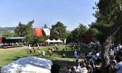 Osmangazi’den ’siyah incir’e yakışan festival