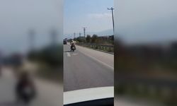 Bursa’da köpeğin motosiklet arkasındaki tehlikeli yolculuğu kameraya yansıdı