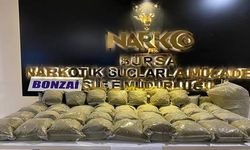 Bursa'da zahir tacirlerine yapılan operasyonda 58 kilogram bonzai ele geçirildi
