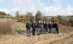 Mudanya Belediyesi Ayçiçek Yağı ve Buğday Unu üretecek