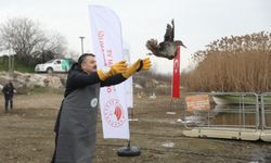 Bekir Pakdemirli, Uludağ’da hayvanlar için doğaya yem bıraktı