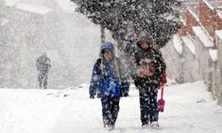 Bursa'da bir kar tatili kararı daha!