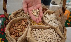 Nilüfer’de 15 bin paket yerel tohum vatandaşla buluştu