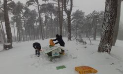 Osmangazi Belediyesi, Can dostları soğuk havalarda unutmadı