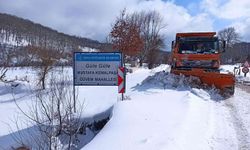 Bursa'da kar ulaşıma engel değil