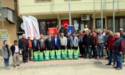 Büyükşehir'den Mudanyalı üreticilere silajlık mısır desteği