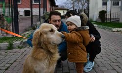 Osmangazi’de can dostlar sıcak yuvaya kavuşturuldu