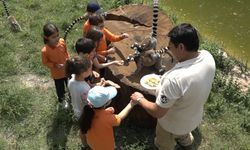 Öğrenciler Lemurlar'ı elleriyle besledi