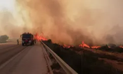 İzmir-Çeşme otoyolu yangın nedeniyle trafiğe kapandı!