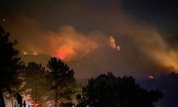 Kütahya'daki orman yangınına müdahale gece gündüz devam ediyor