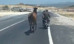 Yine aynı görüntü! Atı motosiklete bağlayarak götürdü...