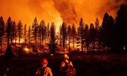 Bursa Valiliği orman yangını uyarısında bulundu
