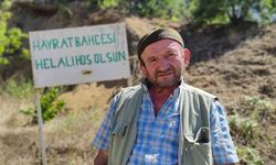 Bu bahçeden meyve koparmak serbest