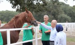 Bakan Vahit Kirişci, “Cumhurbaşkanımızın duruşu ile bu mesele çözüldü"