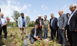 Muğla'da 'tıbbi bitkiler' bahçesi hizmete açıldı