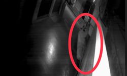Kedi gibi duvara tırmanan hırsız, güvenlik kameralarından kaçamadı