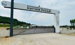 Bursa'daki hayvan pazarları karantinaya alındı