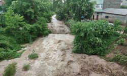 Orhangazi'de sel felaketi, yollar kapandı, evleri su batı