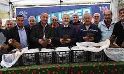 Nilüfer Belediyesi’nin desteğiyle çilek üretimi artıyor
