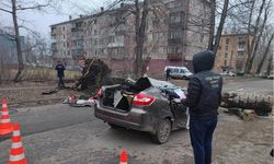 Hareket halindeki aracın üzerine ağaç devrildi: 2 ölü